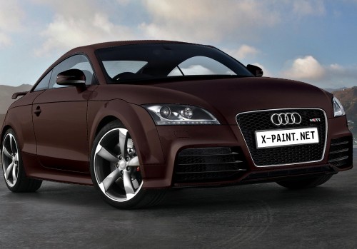 Audi tt rs 2010 Luxury brown