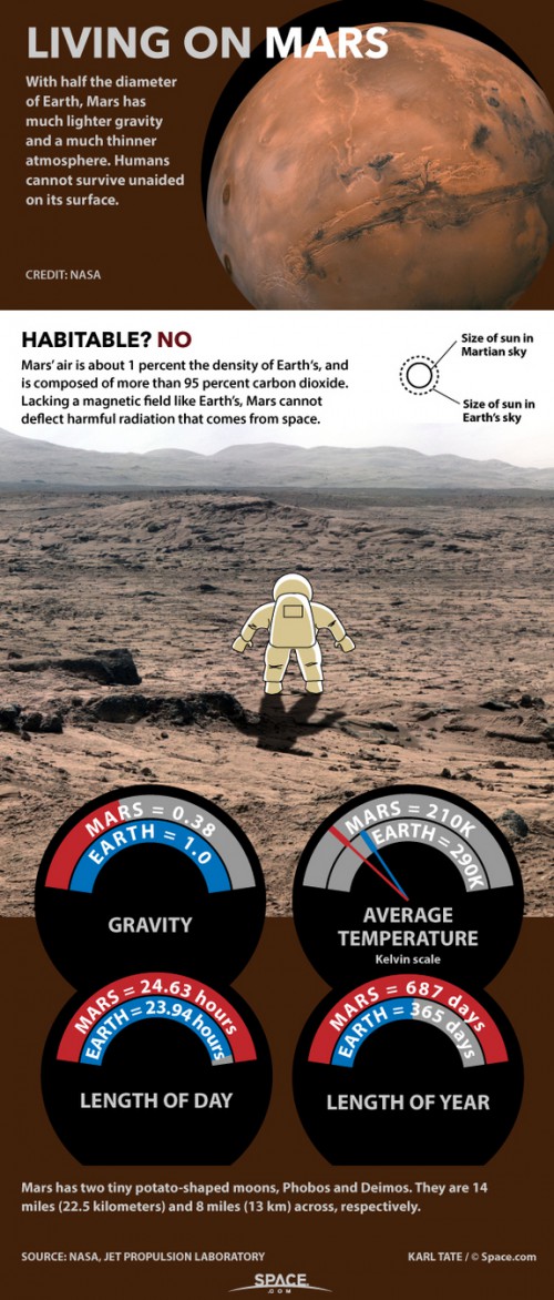 Mars Surface Conditions