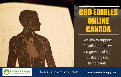 Nature's best and safest medicine CBD hemp oil in Canada at https://earthchoicesupply.com/collections/bio-plus-cbd-drops

Service us 
best cbd edibles vancouver canada			
cbd edibles canada
cbd edibles online canada

CBD hemp oil in Canada can give instant pain relief. People are dropping it into their nighttime tea, swallowing capsules, and loading it into their vape pens, claiming it relieves depression, masks chronic pain, and helps them sleep deeper. And although CBD oil is often derived from marijuana plants, it won’t get you high—and it's not just potted users who are partaking.

Contact us 
Address: 250 Yonge Street, Suite 2201, Toronto M5B2L7 , Canada
phone: 416-922-7238
Email : info@earthchoicesupply.com

Social
https://earthchoicesupply.netboard.me/cbdoilcanada/
https://deoctoteam.journoportfolio.com/
https://itsmyurls.com/earthchoicesupp
http://www.allmyfaves.com/earthchoicesupply/
https://earthchoicesupply.contently.com/