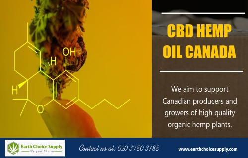 CBD hemp oil online in Vancouver Canada for instant pain relief at https://earthchoicesupply.com/blogs/blogs/best-cbd-oil-for-pain

Service us 
cbd hemp oil online vancouver canada			
cbd hemp oil canada

With CBD hemp oil online in Vancouver Canada you will be able to manage your anxiety. Researchers think it may change the way your brain’s receptors respond to serotonin, a chemical linked to mental health. Receptors are small proteins attached to your cells that receive chemical messages and help your cells react to different stimuli.

Contact us 
Address: 250 Yonge Street, Suite 2201, Toronto M5B2L7 , Canada
phone: 416-922-7238
Email : info@earthchoicesupply.com

Social
https://www.flickr.com/people/earthchoicesupply/
https://www.juicer.io/choiceearth
https://www.ted.com/profiles/10658691
https://profiles.wordpress.org/earthchoicesupply/profile/
https://en.gravatar.com/earthchoicesupply