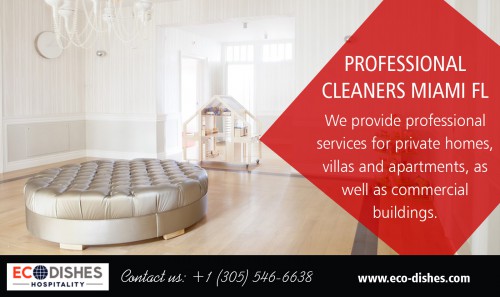 Professional Cleaners Miami FL