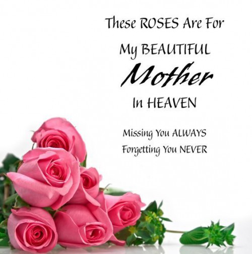 256073 These Roses Are For My Mom In Heaven On Mothers Day