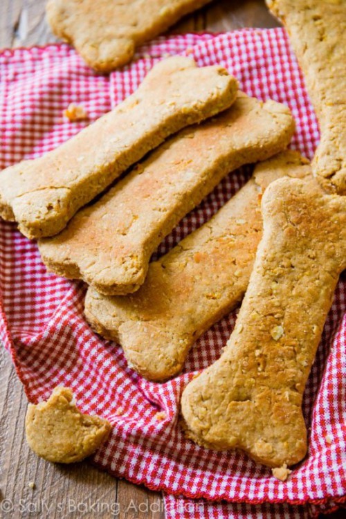 Dog Owner Connection is providing quick and easy dog treats recipes. Here you can get the exclusive range of homemade dog treats for your dog at lowest price. For more details visit our website @ http://www.dogownerconnection.com/easy-dog-treats-never-vegetable-carbohydrate-based/