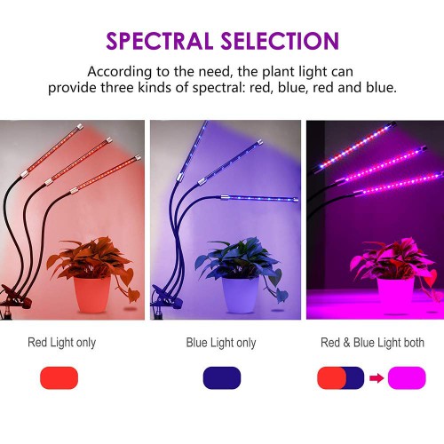 Selecting a Good Indoor LED grow lights at http://www.madaboutberries.com/articles/full-spectrum-led-grow-lights.html

Decoration / Home

Indoor LED grow lights
full spectrum grow light
LED grow lights

Choosing an Indoor LED grow lights established is not as simple as you might picture. To start with, you could assume that you would merely buy a light, dangle it up above the plant, connect it in and also view the magic take place. It might not be further from the truth, which can be both a great and a weak point. It is a positive point because being compelled to invest a long time as well as understand just how to do something new is compensating.

Social Links : 

https://www.pinterest.com/indoorledgrowlights/
http://www.myvidster.com/profile/IndoorLEDgrowlights
http://www.alternion.com/users/LEDgrowlights/