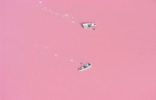 Mikroorganisme halofilik yang membuat air di Danau Retba yang terletak di Senegal jadi berwarna pink