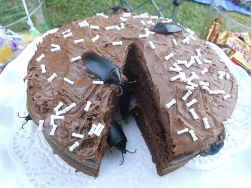 Kue dengan toping serangga