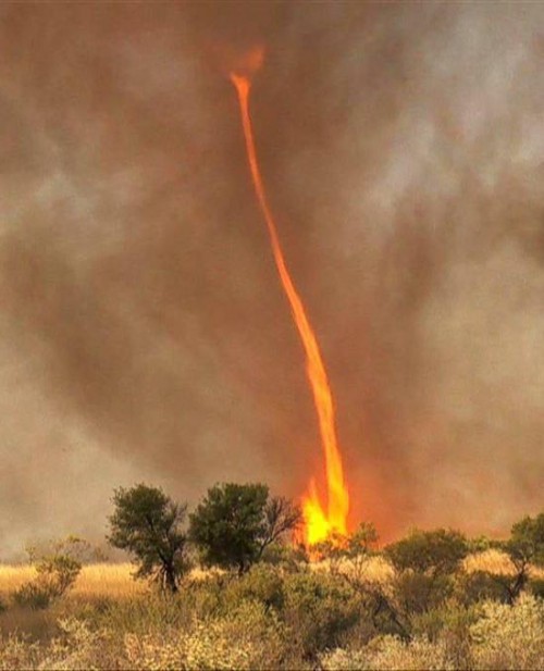 Tornado Api di Australia