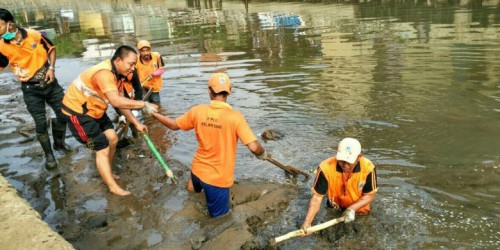 Para petugas PPSU Kwitang membersihkan lumpur di Kali Ciliwung