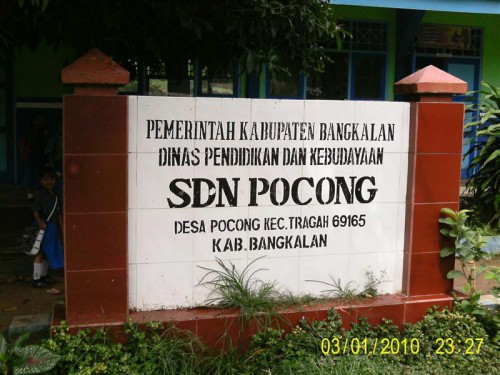 SDN Pocong