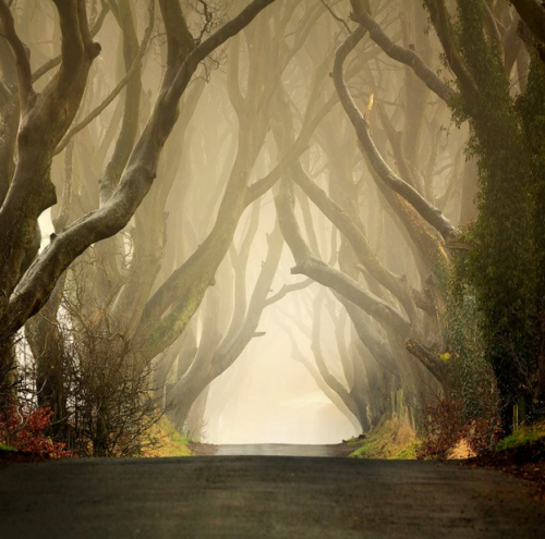 The Dark Hedges, Irlandia Utara