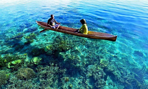 Teluk Saleman Maluku