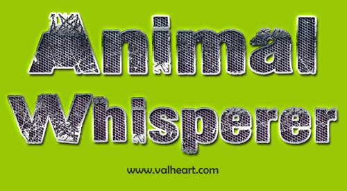 Animal whisperer teaches inter-species conversation that has a comprehensive expertise, training, and also real love for that animal to where they could entirely associate with them on a most intimate level. They are confident and also extremely sure of themselves. You may think of a person that rescues cats a pet cat whisperer however there truly is more to that. Anybody that has food and also invited all the pet cats from miles about would after that be thought about a pet cat whisperer as well as this just isn't really so. Visit this site https://www.valheart.com/ for more information on Animal Whisperer. Follow us : https://goo.gl/Cejw9L
https://goo.gl/gmlxLU
https://goo.gl/BvOkJA
https://goo.gl/qThCdF
https://goo.gl/E5o0lk
