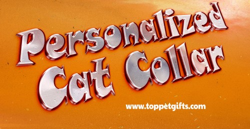 Our Site : https://toppetgifts.com/product-category/gifts-for-dog-lovers/dog-decals/personalized-dog-stickers/
There is a lot to be said that every one of the car decals posted on a vehicle will be seen thousands of times during its existence. Find out their rating and decide for yourself - or else you could end up losing money on a job poorly done that is worthless and useless. Forearmed is forewarned, so we recommend that you do your homework before placing your next order for Dog Decals.
My Profile : https://site.pictures/giftsfordogs
More Typographics : https://site.pictures/image/S6ydl
https://site.pictures/image/S60Fd
https://site.pictures/image/S6xwe