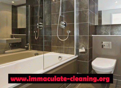 Our Website: http://immaculate-cleaning.org/
Immaculate Cleaning Essentials is a cleaning service located in the South Bay Area. It is licensed, bonded, and insured residentially and commercially. It is known for its extremely high quality of service and its positive business practices. An example of this is the organic leaning materials used by the whole of the business. Not only are all the products organic, they are also maximized for employee and home safety. Cleaning activities must be done on a regular basis to ensure cleanliness in the area. Thus, this makes decide some establishments to just hire Cleaning Service in Santa Clara County, CA providers. 
Profile Link: https://www.minds.com/cleaningSantaClara
More Links: http://weheartit.com/entry/292001609
http://weheartit.com/entry/292002338
http://weheartit.com/entry/292002576
