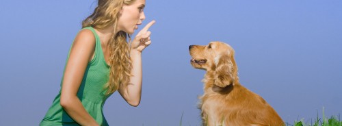 Our Website : https://www.learnhowtotalktoanimals.com/communication
If we communicate with our animals and also get on degree ground with them, both animal and human could profit as well as be content. When people are coming from a place of love, they wish to give their pet buddies the most effective life they can mentally, physically, and emotionally. This translates into unique diets, healthcare, organic food, health insurance, as well as other specialty products. These are just a couple of means Pet Communication helps people help their pets by seeing life from the pet's perspective.
My Profile : https://site.pictures/communicatingpet
More Images :https://site.pictures/image/SgC1p
https://site.pictures/image/SZokX
https://site.pictures/image/SZKf8