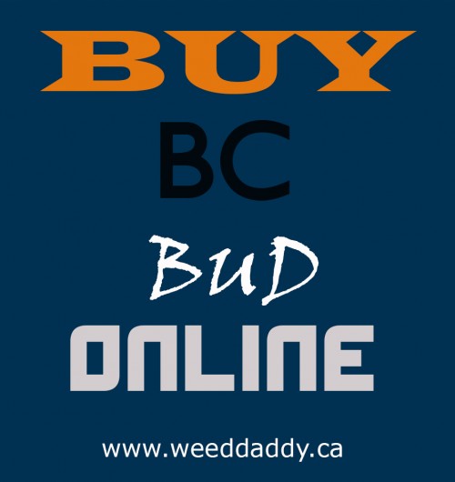 Our Website : http://weeddaddy.ca
Buy BC bud online contain a variety of legendary cannabis brands that impose the euphoric levels you are longing to get. Made from approved recipes, these brands can treat headache, fatigue, and general laziness since they stimulate your body systems well. Many of the weed brands on the weed shops have a THC level of around 18%. This makes them to have a high potency always. When making a weed order, make sure you read through the descriptions. It would help you determine what you can handle as a smoker. This is because there are those that are weak and the strong ones as well.
My Profile : https://site.pictures/weeddaddy
More Links : https://site.pictures/image/SZ059
https://site.pictures/image/SZySA
https://site.pictures/image/SZWLx