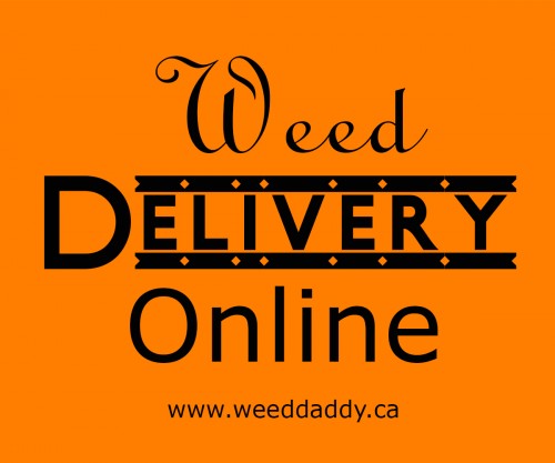 Our Website : http://weeddaddy.ca
Marijuana taste can be enhanced with flavors like lemon, mangoes, and other fruits to make sure that even when you use it, no marijuana smell is going to remain in your mouth. Choose the best weed shop so that you can buy weed online under the advice of experts. People are advised to Order Weed Delivery Online only when treating certain medical condition not to abuse the herb. Always start with small amounts and maintain at that small amount to avoid becoming an excessive user of cannabis.
My Profile : https://site.pictures/weeddaddy
More Links : https://site.pictures/image/SZ059
https://site.pictures/image/SZySA
https://site.pictures/image/SZWLx