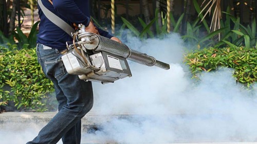 Our Website: http://pestcontrol-dubai.com
When you have ordered your pest control Dubai service you should be given a consultation both before and after the pest removal service, the consultation prior should inform you of when will be done and how the Best Pest Control Company In Dubai will be carried out and afterwards you should be consulted on how to keep your home free from pests and how to make sure that you do not get anymore pest problems ,the technicians should be able to tell where the pests came from and how they got it, they will also give advice for any changes that need to be made.
Typography Profile: https://site.pictures/pestcontroluae
More Typographics:
https://site.pictures/image/SubZn
https://site.pictures/image/SumKU
https://site.pictures/image/SuSyu