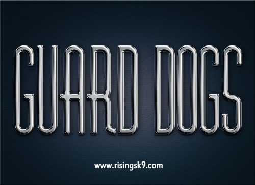 Personal protection dogs are a great asset to any family. They are willing to guard the home and protect their masters devotedly. There are many precautions to consider before purchasing and training a dog to be a defensive guard dog. These tips will come in handy for anyone who is thinking about having the Best Personal Protection Dogs for their lifestyle. Check this link right here http://risingsk9.com/personal-protection-dogs/ for more information on Best Personal Protection Dogs.
Follow us: https://goo.gl/voSTft
https://goo.gl/MVW44C
https://goo.gl/SgZMwV
https://goo.gl/1q7PGx
https://goo.gl/2WAk8d