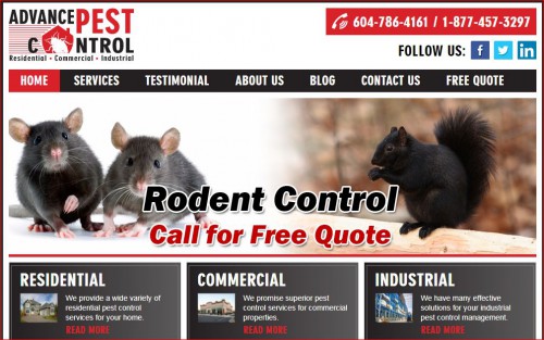 Advance Pest Control offers most effective pest control services in and around Delta, Richmond, Tsawwassen, Burnaby and Surrey. Enquire today for free quote! 

Advance Pest Control is proud to offer its services at affordable and competitive rates with all inclusive pest control remedial measures and follow ups.Our mission statement is simple yet striking; providing exceptional and cost effective pest control management services through highly qualified and expert personnel.

#PestcontrolDelta #RatcontrolDelta #MousecontrolDelta #BedBugControlDelta #AntsControlDelta #PestControlLangley #RatControlLanlgey #MouseControlLangley #BedBugControlLangley #AntsControlLangley ##PestControlcoquitlam #RatControlcoquitlam #MouseControlcoquitlam #BedBugControlcoquitlam #AntsControlcoquitlam #pestcontrolwhiterock #pestcontrolBurnaby #PestControlRichmond #RatControlRichmond #MouseControlRichmond #BedBugControlRichmond #AntsControlRichmond #cockroachcontrolVancouver #PestControlVancouver #RatControlVancouver #MouseControlVancouver #BedBugControlVancouver #AntsControlVancouver #cockroachcontrolVancouver #pestcontrolBurnaby #RatcontrolBurnaby #BedBugControlBurnaby #cockroachcontrolBurnaby #pestcontrolTsawwassen #RatcontrolTsawwassen #AntsControlTsawwassen

Web:- https://www.advancepest.ca/