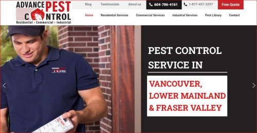Advance Pest Control offers most effective pest control services in and around Delta, Richmond, Tsawwassen, Burnaby and Surrey. Enquire today for free quote! 

Advance Pest Control is proud to offer its services at affordable and competitive rates with all inclusive pest control remedial measures and follow ups.Our mission statement is simple yet striking; providing exceptional and cost effective pest control management services through highly qualified and expert personnel.

#Pestcontroldelta #Ratcontroldelta #Mousecontroldelta #Bedbugcontroldelta #Antscontroldelta #Pestcontrolwhiterock #Pestcontrolrichmond #Ratcontrolrichmond #Mousecontrolrichmond #Bedbugcontrolrichmond #Antscontrolrichmond #Pestcontroltsawwassen #Ratcontroltsawwassen #Antscontroltsawwassen #PestControlNewWestminster #RatControlNewWestminster #MouseControlNewWestminster #BedBugControlNewWestminster #AntsControlNewWestminster #BestPestControlinNewWestminster

Read More:- https://www.advancepest.ca/