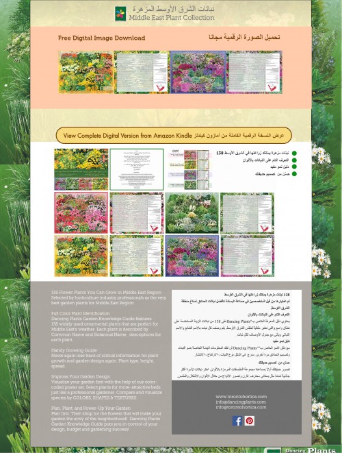 138 Flower Plants You Can Grow in Middle East Region.Selected by horticulture industry professionals as the very best garden plants for Middle East Region Full Color Plant Identification Dancing Plants Garden Knowledge Guide features 138 widely used ornamental plants that are perfect for Middle East's weather. Each plant is described by Common Name and Botanical Name, descriptions for each plant.

#bestornamentalplants #dancingplants #middleeasternplants #FreeDigitalImageDownload #MiddleEastPlantCollection #BestFlowerPlants #FlowerplantsforDubai #FlowerplantsforSaudiArabia #FlowerplantsforQatar #DancingPlantsfortheMiddleEast #BeautifulOrnamentalPlants #DancingPlantsMiddleEast #buyonlineDancingPlants #dancingplantsEbook

Read more:- https://www.torontohortica.com/middle-east-collection