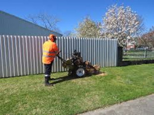 There are numerous tree service companies that offer a wide range of services beginning from diagnosis to treatment of any diseases on your trees in addition to providing care and maintenance of trees. There are a number of tree services that are available and they include stump removal tauranga.  Trees ought to be pruned on a regular basis so that they can maintain an even and optimum canopy; tree pruning is a tree service that ensures your trees Most people don’t realize that trees die from the top down and, as a result, removing diseased or dead limbs while treating a tree is the ultimate life saver. There are also times when branches may interfere with power lines or they grow into a neighbor’s property and they have to be removed or other kinds of obstructions. 

This calls for very professional tree service companies so that there are no risks when the task is undertaken. How do you determine what kind of tree service that is required; you may not know whether the tree needs to be pruned or if the signs Most tree service companies have expert arborists in their staffs who are professionals in the care and treatment of trees. There are many different explanations why a plant must be extracted from your property and there are a couple of dependable ways to do so. Choosing a company to complete a proper stump removal tauranga is the need of the hour. 


FOR MORE INFO-: https://www.baystumpgrinding.co.nz/