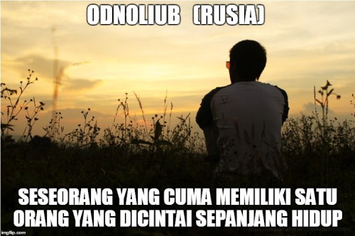 bMpJb.jpg