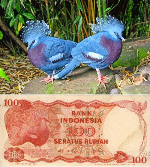 bj6rk.jpg