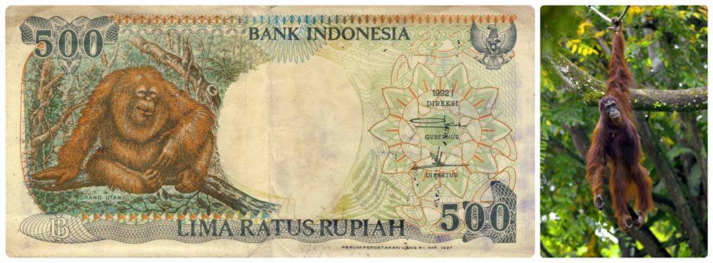 Download 95 Gambar Duit Lima Ratus Rupiah Paling Bagus Gratis