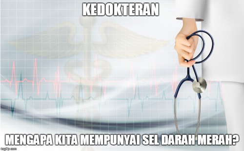 btiDR.jpg