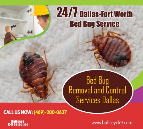 Our website :http://www.bullseyek9.com
Bed bug heat treatment near me offer different packages for dealing with pests. They offer a one time cleaning and then they charge a little extra for routine monitoring afterwards. They also offer monthly or bi-monthly service for keeping your home environment pest free and clean. The charges for the services that they usually offer are not fixed. It depends upon the level of heat pest services that is required.
more links:https://us.tradeford.com/us552568/bed-bug-treatment_p944218.html
https://klout.com/#/Bedbugsremoval
https://bugspecialists.wixsite.com/killbedbug