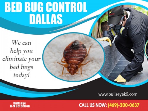 Our website :http://www.bullseyek9.com 
These little creatures feast on human blood and they are very tenacious indeed. They spread easily from person to person through contact. You will get bitten very badly if you were to sit or lie down near where they are gathered. Bed bug exterminators near me will become your priority once you realize that these creatures have infested your home. The problem is that many people have jumped on the bandwagon; only by hiring a bed bug exterminator who is reliable will you be able to get the results you desire.
more links :https://slides.com/bedbugsremoval
https://getpocket.com/@c66g9d37p33c2A5a90T4469T14AfpW5353aX12Aem0c058b5aM2fndc4o4aHL686
https://www.plurk.com/Bedbugsremoval