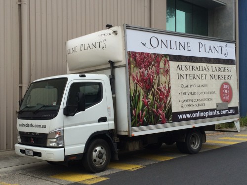 Buy Plants online from Online Plants Melbourne.  Australia's largest online retail Nursery. Over 3000 species of plants. Call 03 9424 1946. Deliveries to VIC, NSW, ACT, QLD & SA.