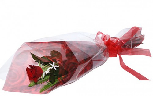 one red rose wrapped