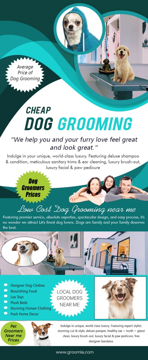 Our site : https://www.groomla.com/
One of the most important things you can do for your dog is maintaining a consistent and proper dog grooming routine. In addition to keeping your dog clean and smelling good, for both you and your guest's sake, there are many health concerns that proper grooming address. Your dog's coat and skin are very important to your dog and oftentimes is an indicator of other health problems that may be lurking. Dog Groom West Hollywood CA properly, following correct dog grooming instructions, helps to keep her healthy while also building an important bond between you and your pet.
My Social : https://twitter.com/CheapGrooming
More Links : http://moovlink.com/?c=BFRWVlc6ZDZjYTlkNjc
https://snapguide.com/dog-prices/
https://www.reddit.com/user/CheapGrooming