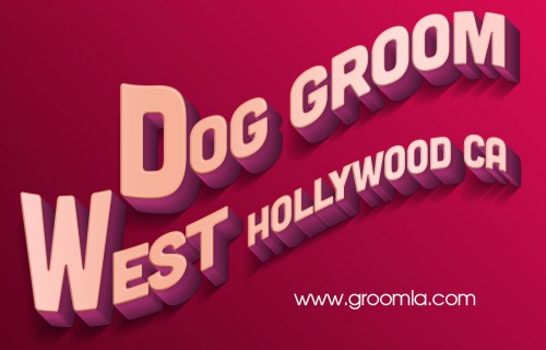 Our site : https://www.groomla.com/
The groomer can teach you how to care for your dog, and can give you tips and advice on the tools you will need to do the job at home. Some breeds need to be groomed more than others, and some breeds may actually suffer if they are groomed too often. Your groomer and your veterinarian can both provide you with information on your specific dog's needs, and help make the dog grooming experience enjoyable for both you and your pet. They can also recommend the proper Dog Grooming West Hollywood CA supplies and tools required to get the job done the right way.
My Social : https://twitter.com/CheapGrooming
More Links : https://list.ly/CheapGrooming/lists
https://padlet.com/CheapGrooming
http://www.interesante.com/cheapgrooming