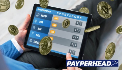 Visit PayPerHead Sportsbook and get the best live betting software. Our live betting software provides an edge in the sports betting world. By tracking bettor's bets in real time, we are able to provide customized advice that gives you the winning edge. With our software, you can make bets while the game is still in progress. This makes for a more exciting and engaging experience for the bettor. So come try out our live betting software today and see what all the fuss is about!

For more info:-https://payperheadsportsbook.com/betting-software/