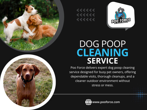 A professional Dog Poop Cleaning Service isn’t just about convenience — it’s about maintaining a healthier environment without the constant effort.
