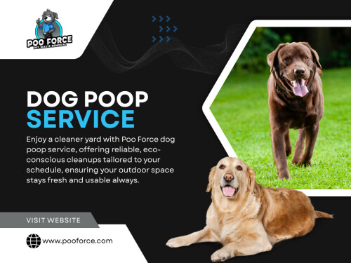 A regular Dog Poop Service helps prevent those hidden issues from developing in the first place. And in the long run, staying consistent is far easier than dealing with the consequences later.