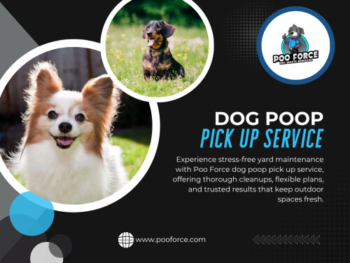 But what often gets overlooked is this: pet waste isn’t just unpleasant — it can quietly turn into a health concern. Skipping regular cleanup, or putting off a Dog Poop Pick Up Service, can create problems that aren’t always visible at first but build up over time.