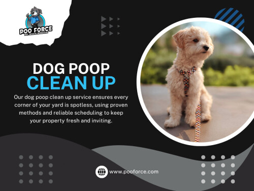 It usually doesn’t start as a “problem.” It starts as a delay. A busy morning, a tiring evening, a plan to clean the yard later that quietly turns into tomorrow. Then another tomorrow. That’s how most pet waste situations begin — not with neglect, but with small pauses in Dog Poop Clean Up that slowly stack up.