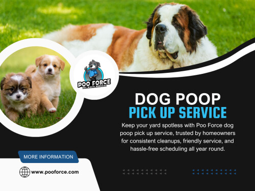 Understanding this cycle changes how yard care is handled. A consistent Dog Poop Pick Up Services or professional Minneapolis Dog Waste Removal Service isn’t just about convenience in winter — it’s about avoiding the bigger cleanup that always shows up when the snow finally melts.
