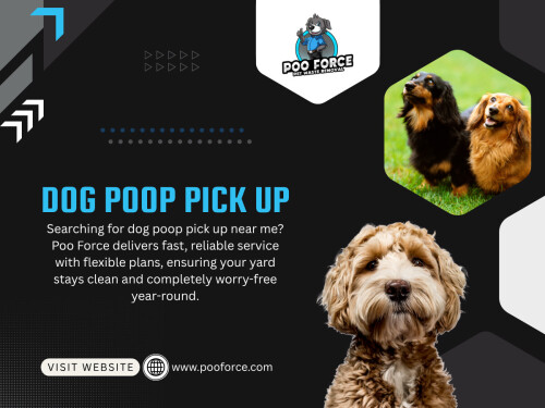 Over time, this creates uneven maintenance. The yard never gets fully cleaned, just partially maintained. This is often when people start searching for Dog Poop Pick Up Near Me, usually after things have already started piling up.
