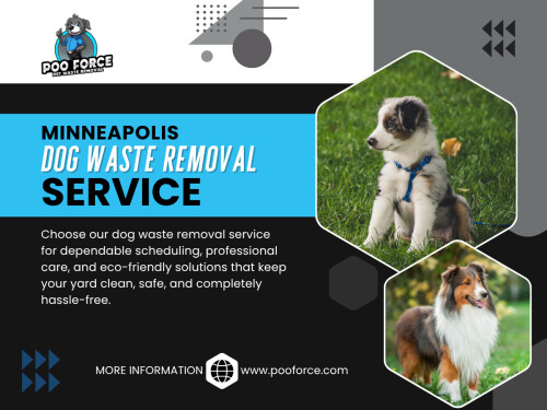What feels like a sudden problem is usually just months of missed routine. This is where a consistent Minneapolis Dog Waste Removal Service would have prevented the buildup quietly in the background.