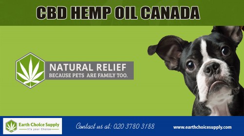 CBD hemp oil Canada to buy your first hemp product at https://earthchoicesupply.com/ 

Applying CBD hemp oil Canada to the skin stimulates the shredding of dead skin cells and promotes a fresh and glowing appearance," says Axe. What's more, since CBD oil helps produce lipids, it can actually work to treat acne and dry skin. On top of this, it's packed with antioxidants, which help fight off free radicals that can cause wrinkles and fine lines (hello, younger-looking skin). Also, since CBD oil can be used to reduce feelings of stress, acne, rosacea, and dry skin, breakouts could occur less often. 

Our Products : 

CBD Oil Canada 
Dispensary in Toronto Canada 
Buy CBD oil amazon 
Best CBD oil for pain 
CBD Vancouver 
CBD Hemp oil Canada 
CBD edibles online Canada 

Address: 250 Yonge Street, Suite 2201, 
   Toronto, Canada 

General Inqueries: 416-922-7238 

Email : info@earthchoicesupply.com 

Social Links : 

https://twitter.com/ChoiceEarth 
https://www.pinterest.ca/earthchoicesupply/ 
https://www.instagram.com/earthchoicesupply/ 
https://plus.google.com/u/0/107430257429149428746 
https://www.youtube.com/channel/UCYgVNAV0DhYzNQ_U6PhOZtA/ 
https://www.facebook.com/Earth-Choice-Supply-277887949646767/

More Links : 

http://www.canadianbusinessdirectory.ca/file1341558.htm 
https://www.fyple.ca/company/earth-choice-supply-cbd-oil-canada-5b9fyji/ 
https://www.find-us-here.com/businesses/Earth-Choice-Supply-CBD-Oil-Canada-Toronto-Ontario-Canada/32957441/