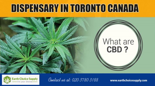 Dispensary in Toronto Canada to receive the best cannabis and cannabis alternatives at https://earthchoicesupply.com/ 

Oils that are CBD dominant are referred to as CBD oils. However, the exact concentrations and ratio of CBD to THC can vary depending on the product and manufacturer. Regardless, CBD oils have been shown to offer a range of health benefits that could potentially improve the quality of life for patients around the world. Find dispensary in Toronto Canada for best results. 

Our Products : 

CBD Oil Canada 
Dispensary in Toronto Canada 
Buy CBD oil amazon 
Best CBD oil for pain 
CBD Vancouver 
CBD Hemp oil Canada 
CBD edibles online Canada 

Address: 250 Yonge Street, Suite 2201, 
   Toronto, Canada 

General Inqueries: 416-922-7238 

Email : info@earthchoicesupply.com 

Social Links : 

https://twitter.com/ChoiceEarth 
https://www.pinterest.ca/earthchoicesupply/ 
https://www.instagram.com/earthchoicesupply/ 
https://plus.google.com/u/0/107430257429149428746 
https://www.youtube.com/channel/UCYgVNAV0DhYzNQ_U6PhOZtA/ 
https://www.facebook.com/Earth-Choice-Supply-277887949646767/

More Links : 

http://www.expressbusinessdirectory.com/Companies/Earth-Choice-Supply--CBD-Oil-C-C712180
https://ca.enrollbusiness.com/BusinessProfile/3239474/Earth%20Choice%20Supply%20-CBD%20Oil%20Canada
https://www.fyple.ca/company/earth-choice-supply-cbd-oil-canada-5b9fyji/