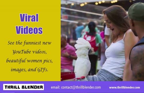 Viral Videos - Creating A Viral Video To Increase Traffic at https://thrillblender.com/category/viral-videos/
Online marketing is more entertaining and full of unknowns these days as the latest technological advantages of viral videos are streaming live advertisements and mesmerizing visual effects, ultimately attracting the attention for a new or existing brand. However, with so many variations to develop Viral Videos, the creativity of some marketing strategies can get misunderstood causing more confusion than attraction. Which is why we address a few advantages of viral videos, to help you develop the right online marketing strategy for your brand.
My Social :
https://plus.google.com/u/0/110982687661283851951
https://www.youtube.com/channel/UCGMQNj6sN7HPQnUy35Wy20Q
https://www.instagram.com/hotchicksgirl/
https://www.pinterest.com/hotchicksgirl/

Deals In....
Funny Pictures
Funny Pictures Of People
Hot Chicks
Hot Girls
Really Funny Pictures
Viral Videos