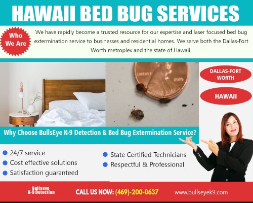 Hawaii bed bug services for many commercial enterprises and homeowners at http://www.bullseyek9.com/services/hawaii-bed-bug-extermination/

Find Us :
 
https://goo.gl/maps/CtY8hjzJCAs

To start with, Hawaii bed bug services exterminator should perform an ocular inspection of your place, focusing strictly on problem areas. When this is accomplished, the exterminator will be able to recommend the treatment method, which entails numerous steps and several visits.


Our Services :

Bed bug exterminator hawaii  
Hawaii bed bug services 
Hawaii bed bug control
Hawaii bed bug extermination

Address   : Frisco, TX, USA
Contact Us  : +1 469-200-0637
Visit Our Website : http://www.bullseyek9.com/

Follow us on Social Media :

https://www.facebook.com/Bulls-Eye-K9-Detection-1939638712938556/
https://twitter.com/bullseyek9detec
https://www.instagram.com/bedbugdetector/
https://www.pinterest.com/bedbugremoval/
https://www.youtube.com/channel/UC9X-tv139TEjTuWfIrevYeg
https://plus.google.com/101417159770663203427