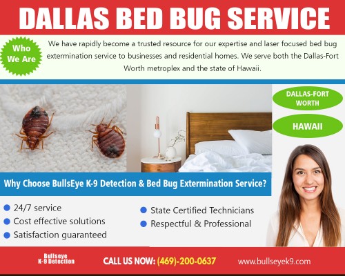 Dallas Bed Bug Service